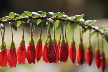 惠州惠阳区9私人快速借钱网，轻松解决资金难题
