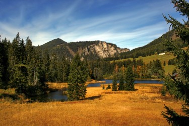 惠州惠阳区9民间私贷攻略：揭秘低成本借贷的秘密