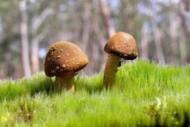 惠州惠阳区9私人老板放款：轻松融资的秘密通道